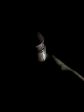 Snapshot of -bunny06 chatting on October 10, 2025, 9:52 am -bunny06 online show from October 10, 2025, 9:52 am