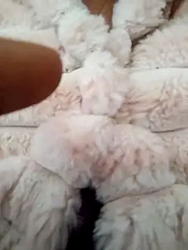 PEEHU-50 online show from January 17, 2026, 2:38 am