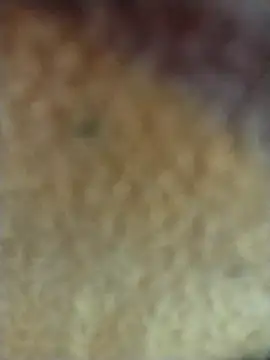 PEEHU-50 online show from February 2, 2026, 3:27 am