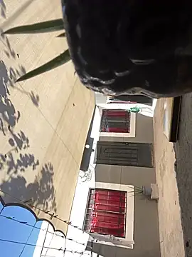 feetbooy online show from November 4, 2025, 8:19 pm