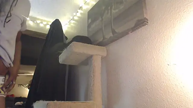 Snapshot of AlickleStiff chatting on November 15, 2025, 2:31 am AlickleStiff online show from November 15, 2025, 2:31 am