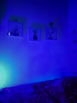 Solaangel  online show from December 17, 2025, 11:44 pm