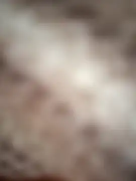 La Psicologa69 online show from January 6, 2026, 1:04 pm