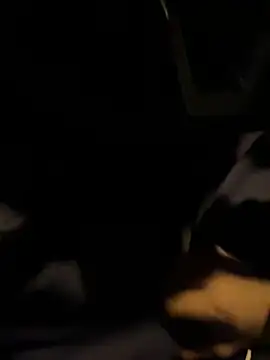 Snapshot of ayrtonmen chatting on October 8, 2025, 4:43 am ayrtonmen online show from October 8, 2025, 4:43 am