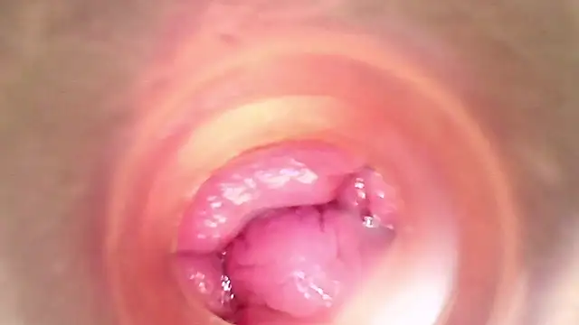 shannon kinne  online show from March 29, 2026, 5:46 pm