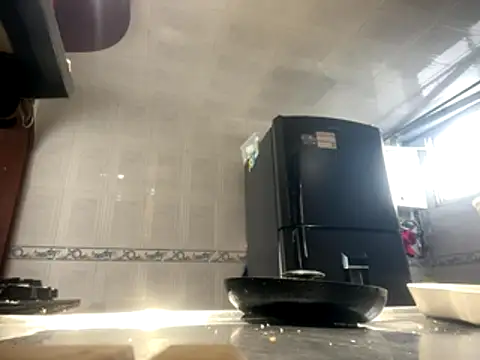 Velourmuse online show from November 15, 2025, 1:40 pm