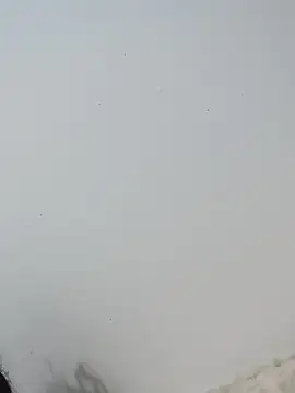  Bella Beth  online show from December 2, 2025, 12:49 am