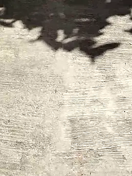 deepti 07 online show from October 6, 2025, 9:40 am