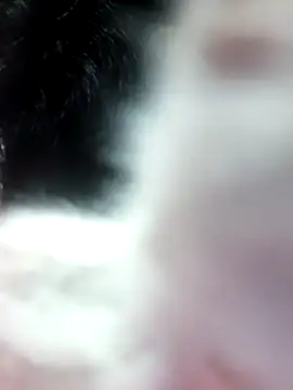 anjali2351 online show from February 10, 2026, 2:21 pm