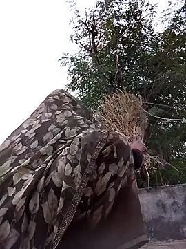 Hot eras36 online show from October 22, 2025, 11:54 am