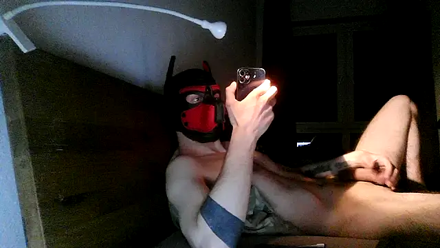 MolleDolle online show from December 2, 2025, 7:31 pm