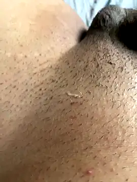 leiteiro2002 online show from November 5, 2025, 8:20 pm