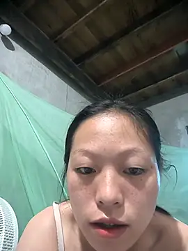 Zerin nova online show from November 1, 2025, 6:59 am