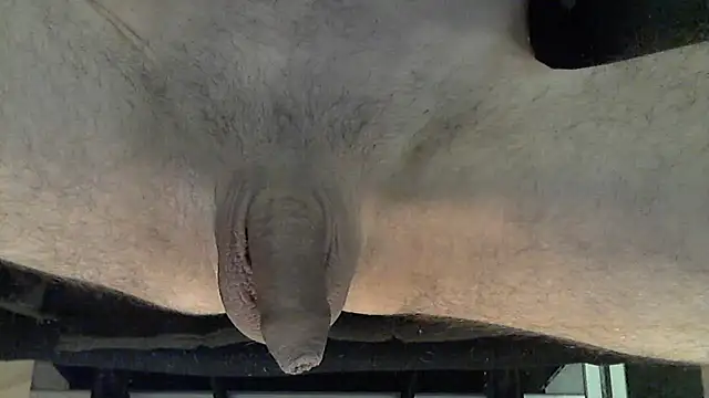 marco pinto online show from February 28, 2026, 6:09 pm