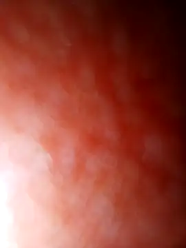 jhbswto online show from October 30, 2025, 9:48 pm