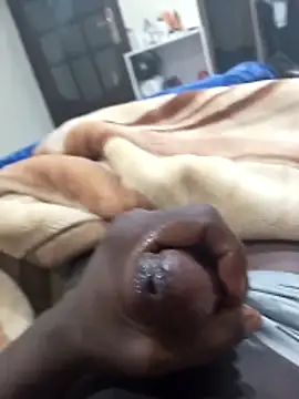 Sahrawi-fhal online show from February 2, 2026, 2:10 am