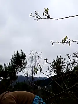 siusiu-00 online show from November 19, 2025, 12:54 am