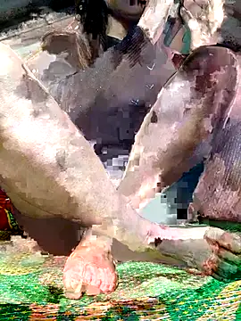 Snapshot of -Kem-01 chatting on December 5, 2025, 1:09 pm -Kem-01 online show from December 5, 2025, 1:09 pm