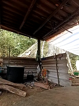 Snapshot of -Kem-01 chatting on February 26, 2026, 5:17 am -Kem-01 online show from February 26, 2026, 5:17 am