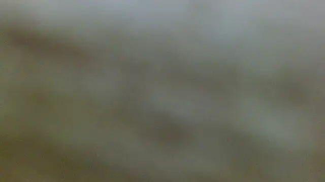 Axel Stones  online show from November 21, 2025, 1:21 pm