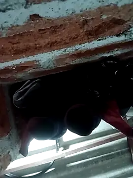 Rajni chauhan online show from November 5, 2025, 5:35 pm