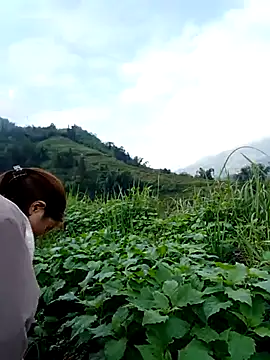 omai-ngot online show from November 15, 2025, 1:14 am