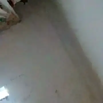 Cubanitaxxx online show from December 2, 2025, 1:00 am