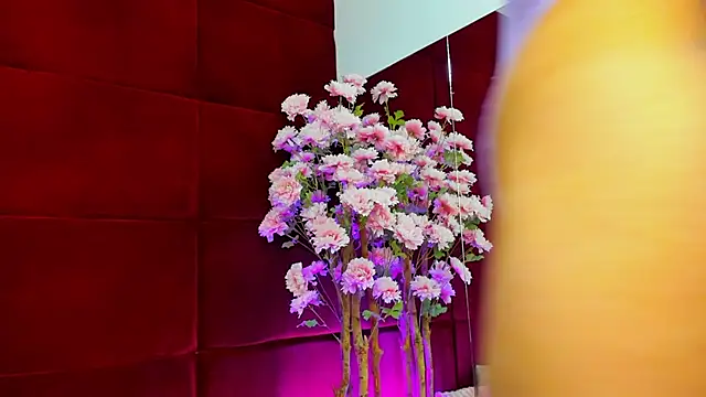 StepMomAnn online show from November 9, 2025, 6:55 am