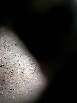 Snapshot of M-MAYA chatting on November 1, 2025, 6:04 am M-MAYA online show from November 1, 2025, 6:04 am