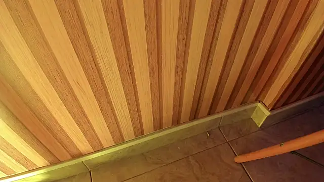 mia  blaze   online show from December 20, 2025, 3:02 am