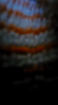 Sexecochon online show from December 22, 2025, 2:03 pm