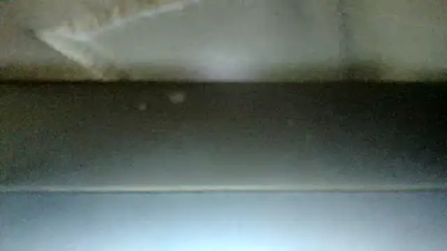 mamiandpapi6969 online show from May 13, 2026, 8:55 am