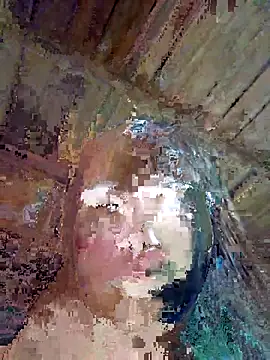 Squirrel-Pear online show from November 8, 2025, 1:00 pm