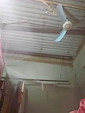 Squirrel-Pear online show from November 19, 2025, 2:39 pm