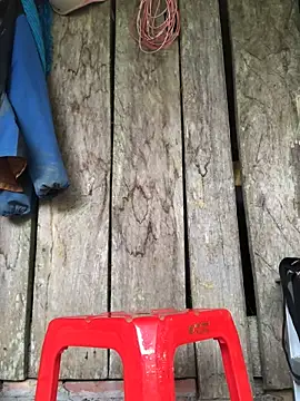 Kylie beem online show from March 15, 2026, 6:19 am