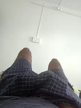 sugar seeker online show from November 1, 2025, 10:06 am