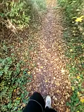 bbyxklaus online show from November 9, 2025, 10:57 am