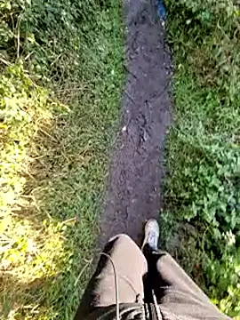 bbyxklaus online show from November 26, 2025, 9:43 am