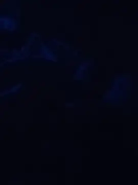 Snapshot of Cedric7653 chatting on February 28, 2026, 12:44 am Cedric7653 online show from February 28, 2026, 12:44 am