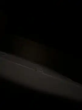 bart98geil online show from April 6, 2026, 3:15 am