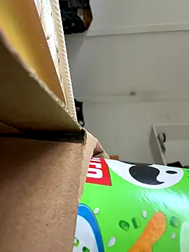 cheems232 online show from November 26, 2025, 7:48 pm