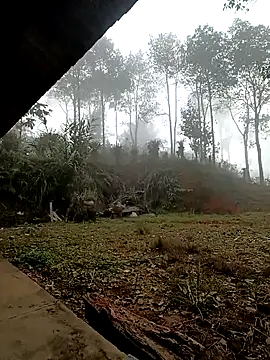 Snapshot of sowbibi chatting on December 15, 2025, 2:16 am sowbibi online show from December 15, 2025, 2:16 am