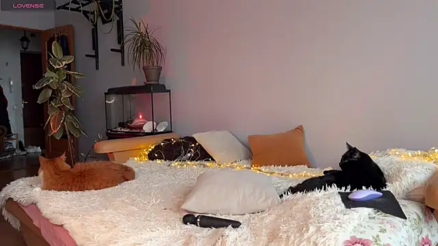 Lin Cherie online show from November 20, 2025, 11:21 am