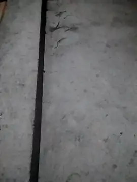 rickkis2k online show from December 16, 2025, 10:15 pm