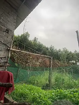 Irin jo online show from February 1, 2026, 12:31 am