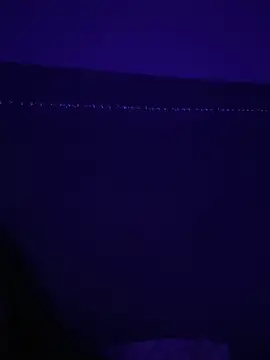 Gia Atkinson online show from October 24, 2025, 11:45 pm