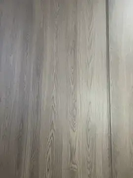 Evelinmiller97 online show from November 1, 2025, 8:55 pm