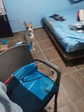 666Daemon666 online show from January 17, 2026, 5:12 am