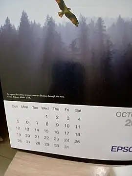 Snapshot of Kolkatacock06 chatting on October 24, 2025, 2:02 pm Kolkatacock06 online show from October 24, 2025, 2:02 pm