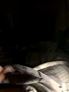 Snapshot of bfelipedasilva chatting on October 23, 2025, 11:57 pm bfelipedasilva online show from October 23, 2025, 11:57 pm